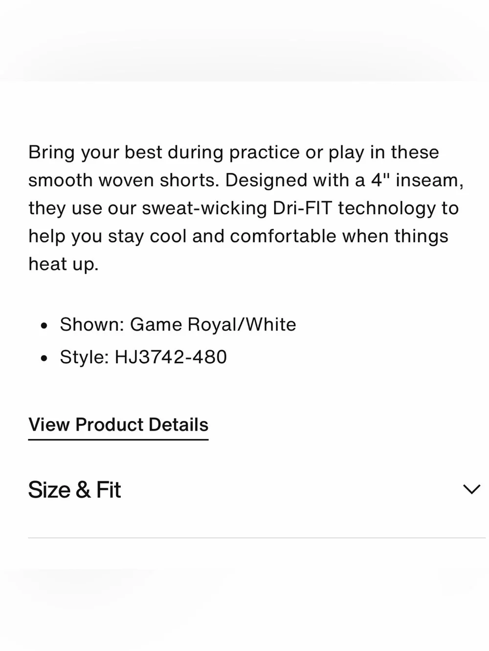 Nike Kids Blue Athletic Shorts